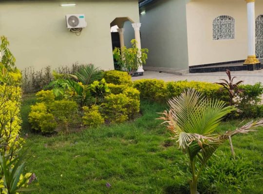 Maison a vendre a garoua