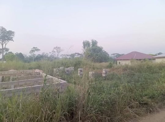 𝑻𝒆𝒓𝒓𝒂𝒊𝒏 𝒂 𝒗𝒆𝒏𝒅𝒓𝒆 𝒂 𝒍𝒂 𝑫𝒊𝒃𝒂𝒎