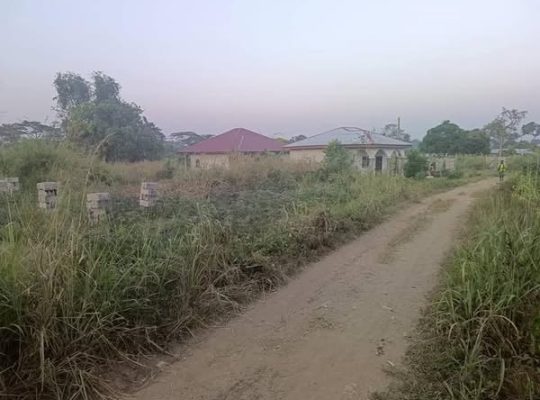 𝑻𝒆𝒓𝒓𝒂𝒊𝒏 𝒂 𝒗𝒆𝒏𝒅𝒓𝒆 𝒂 𝒍𝒂 𝑫𝒊𝒃𝒂𝒎