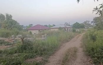 𝑻𝒆𝒓𝒓𝒂𝒊𝒏 𝒂 𝒗𝒆𝒏𝒅𝒓𝒆 𝒂 𝒍𝒂 𝑫𝒊𝒃𝒂𝒎