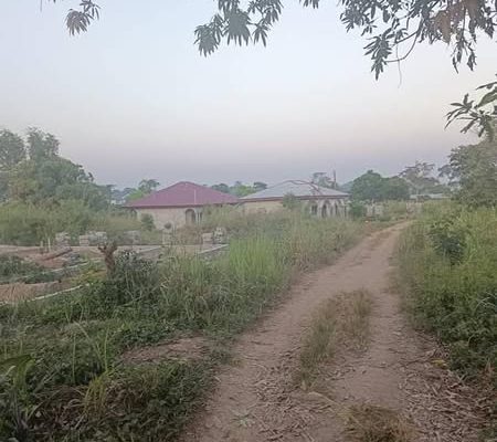 𝑻𝒆𝒓𝒓𝒂𝒊𝒏 𝒂 𝒗𝒆𝒏𝒅𝒓𝒆 𝒂 𝒍𝒂 𝑫𝒊𝒃𝒂𝒎