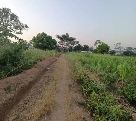 𝑻𝒆𝒓𝒓𝒂𝒊𝒏 𝒂 𝒗𝒆𝒏𝒅𝒓𝒆 𝒂 𝒍𝒂 𝑫𝒊𝒃𝒂𝒎