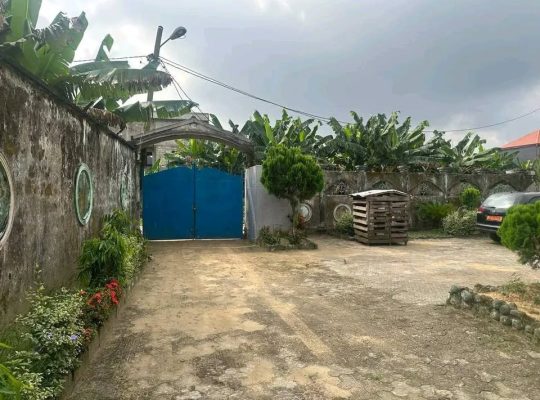 Grande Maison à louer