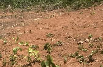🏡 Terrain titré et lotis