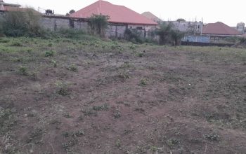 TERRAIN À VENDRE A LOUM