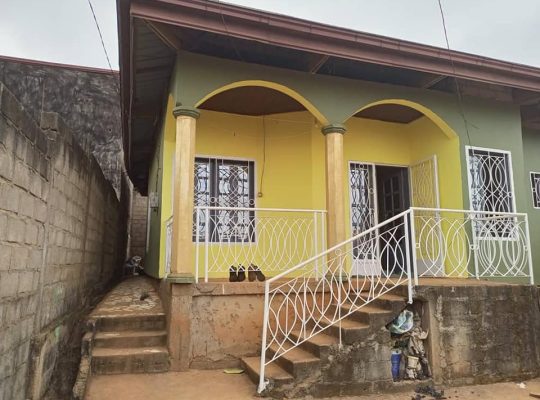 MAISON á vendre 202 m2 á ODZA Messamendongo