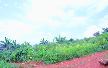 TERRAIN À VENDRE : EKOUMDOUM YAOUNDÉ