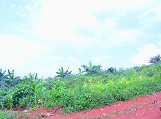 TERRAIN À VENDRE : EKOUMDOUM YAOUNDÉ